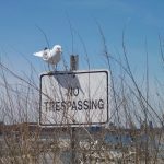 Penalties for Being Caught Trespassing with a Speargun in Sydney