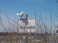 No trespassing