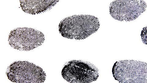 Fingerprint