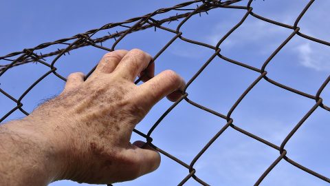 Prisoner holding onto barbed wire fence