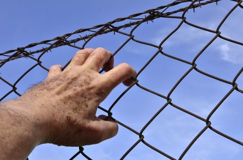 Prisoner holding onto barbed wire fence