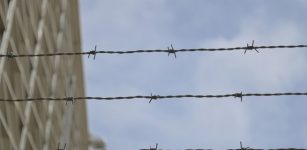 Wire on top of fence