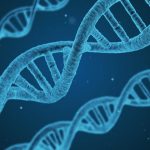 The Eternal Question – Is Criminality Genetic, Learned or Both – and does a ‘Criminal’ Gene Exist?