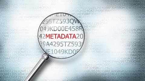 Metadata screen