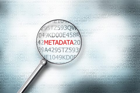 Metadata screen
