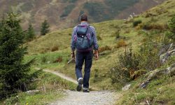 Backpacker walking in a forest