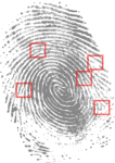 Fingerprint scan