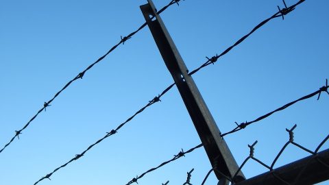 barbed wire on prison fence