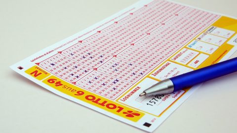 Lotto card