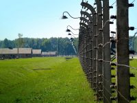 Electric gate