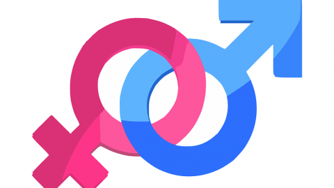 Gender