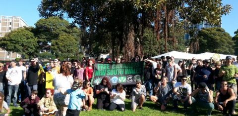 Free cannabis NSW 420