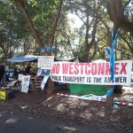 Save Sydney Park from WestConnex: An Exclusive Interview with Anne Picot