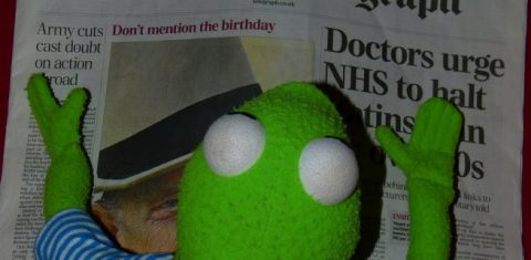 Kermit reading the Daily Telegraph