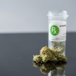 Government Bureaucracy Impedes Access to Medicinal Cannabis