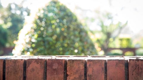 Neighbour fence