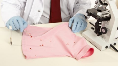 DNA evidence
