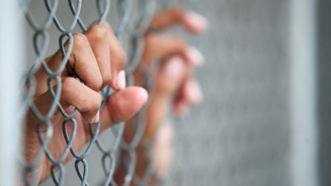 Hands of a child holding onto wire fence