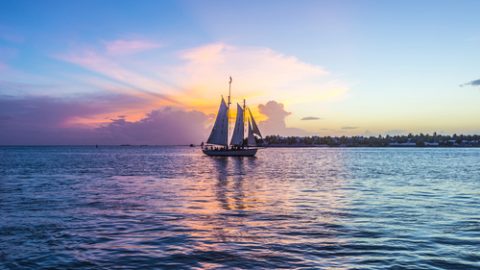 Florida sea