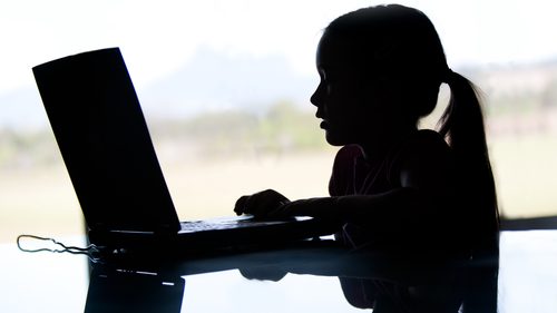 Online predators targeting youth