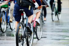 Cyclists on road