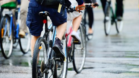 Cyclists on road