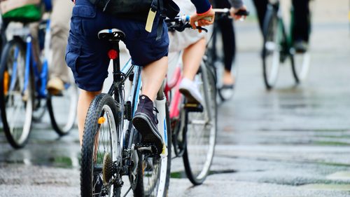 Cyclists on road