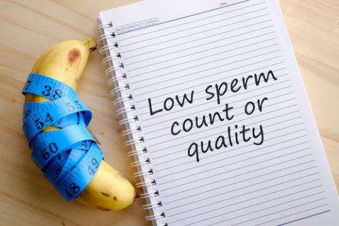 Sperm count on notebook
