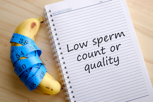 Shooting blanks sperm counts halve over past forty years
