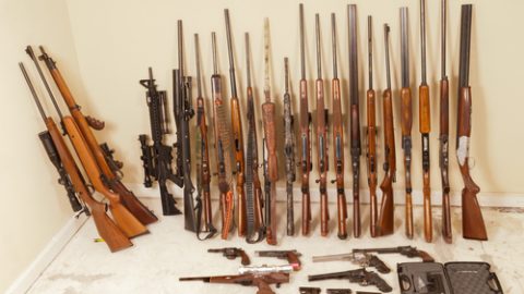 Gun collection