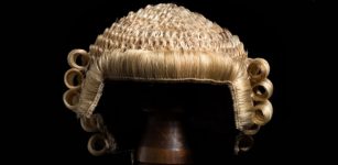 Barrister wig
