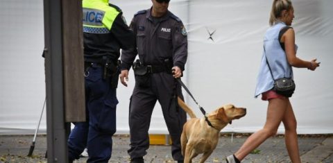 Sniffer dog operations
