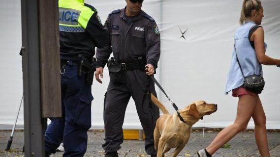 Sniffer dog operations