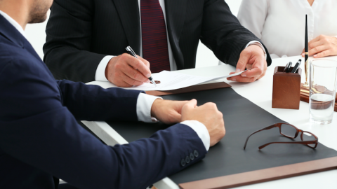 Lawyers in office working