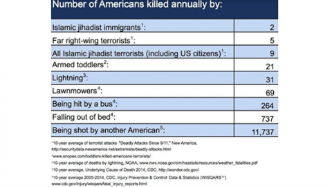Statistics on American killed