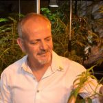 Medical Marijuana Innovation: An Interview With Andrew Kavasilas