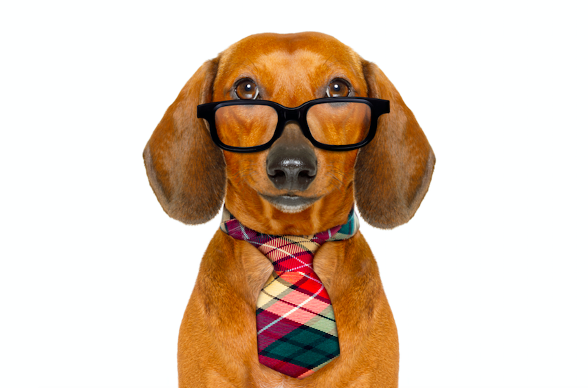 Top Ten (Clean) Lawyer Jokes to Kick Off 2018 Top Ten (Clean) Lawyer Jokes to Kick Off 2018