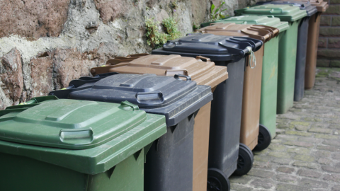 Rubbish bins
