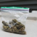 NSW Man Reports Theft of Cannabis to Police
