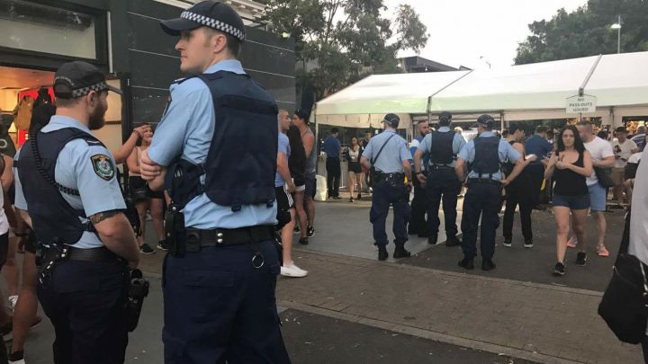 Police at a music festival