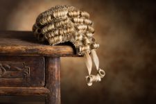 Barrister wig