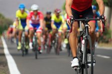 Cyclists on the road