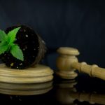 SA Liberals Intensify War Against Cannabis Users