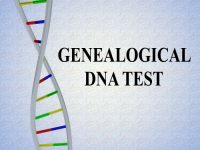 DNA test