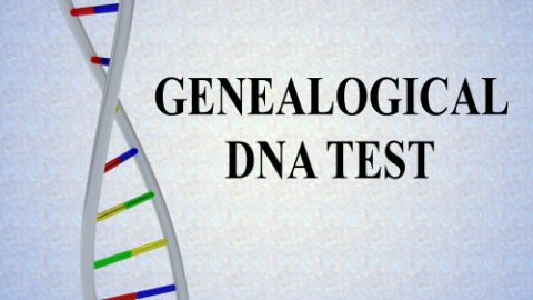 DNA test