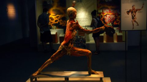 Real bodies
