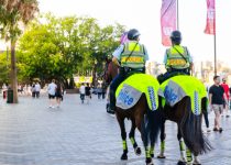 Mounted police