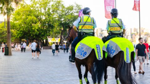 Mounted police