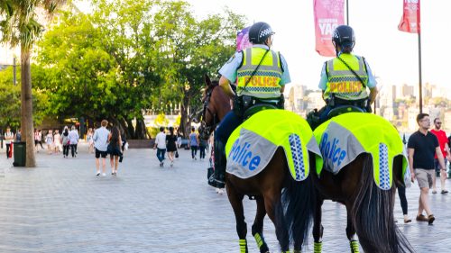 Mounted police