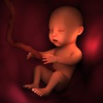 The Foetal Manslaughter Debate. Should Unborn Babies be Separately Protected?